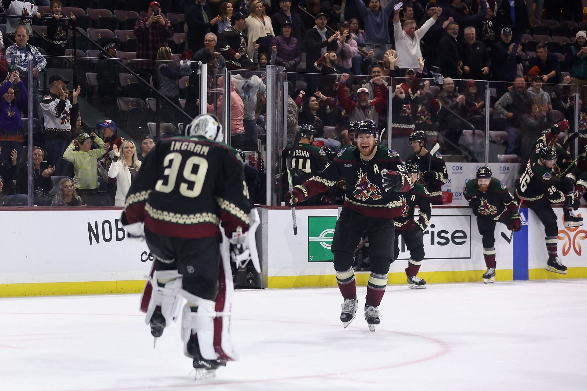 Arizona Coyotes